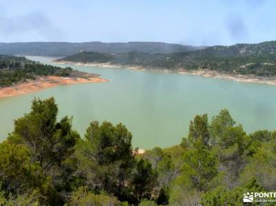 Meandros Río Tajo–Reto Senderista;mirador de los poetas tejo milenario parque natural barranco de